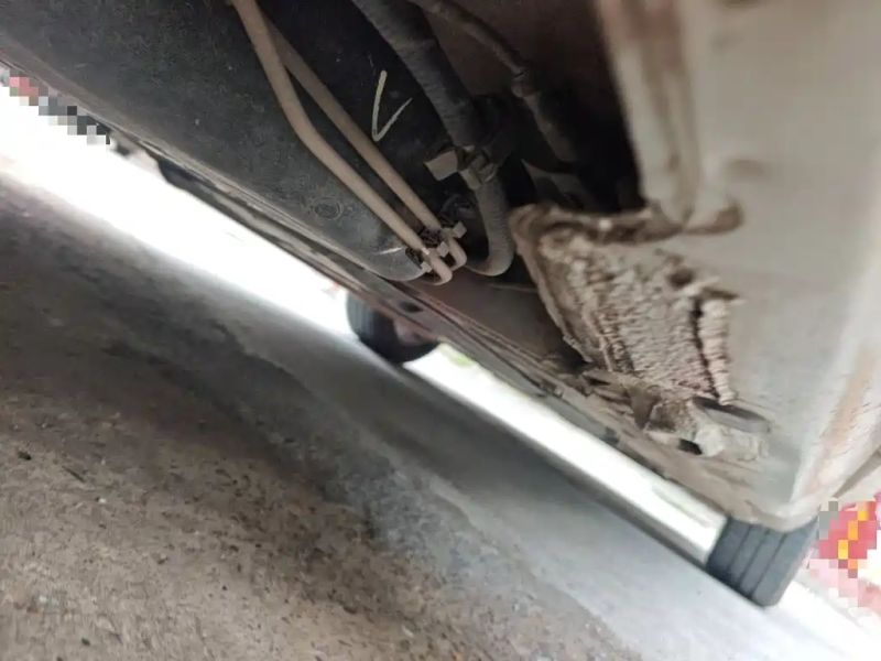 koleos lavida