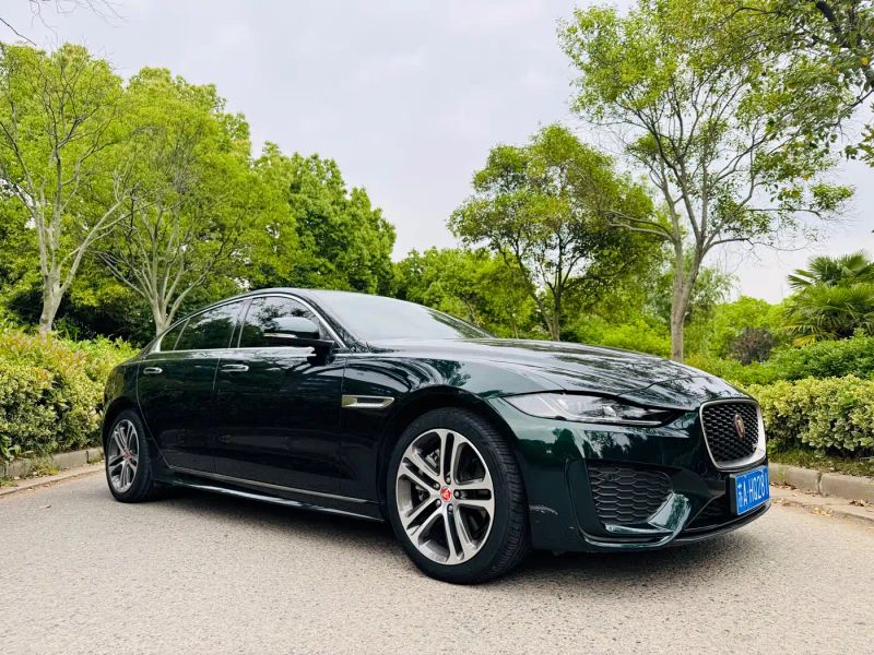 Jaguar xel