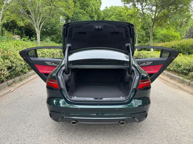 Jaguar xel