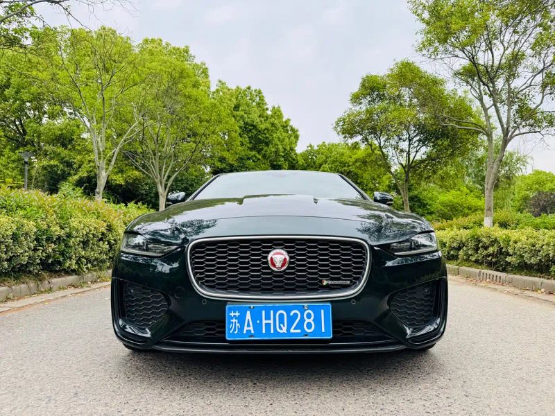 Jaguar xel