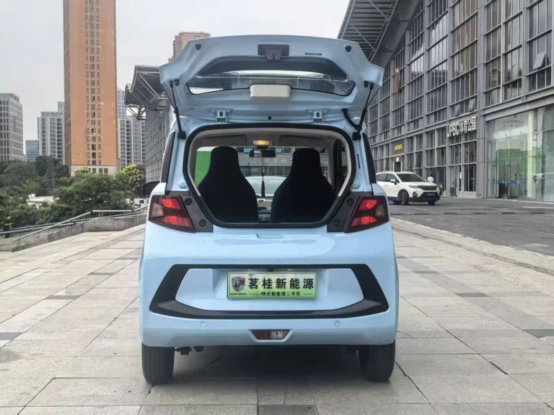 fengguang miniev