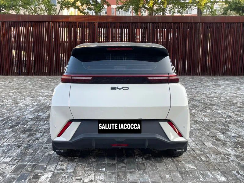 han seagull