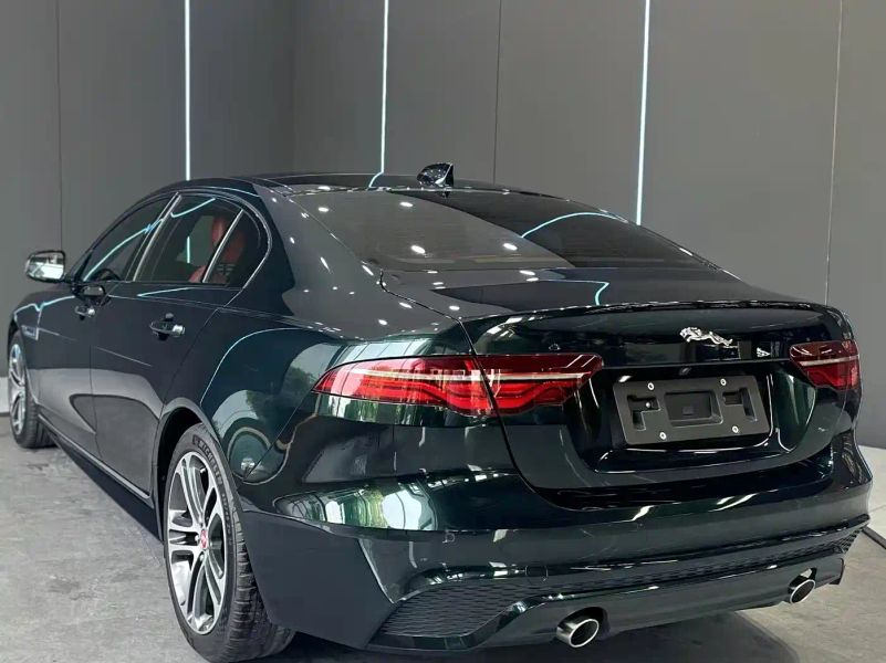 Jaguar xel