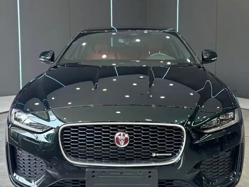 Jaguar xel