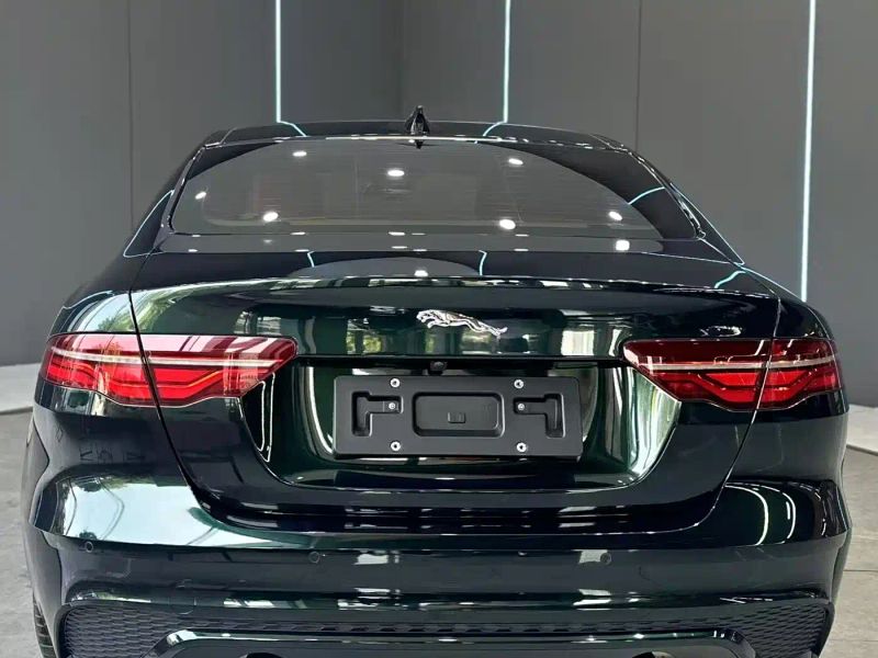 Jaguar xel