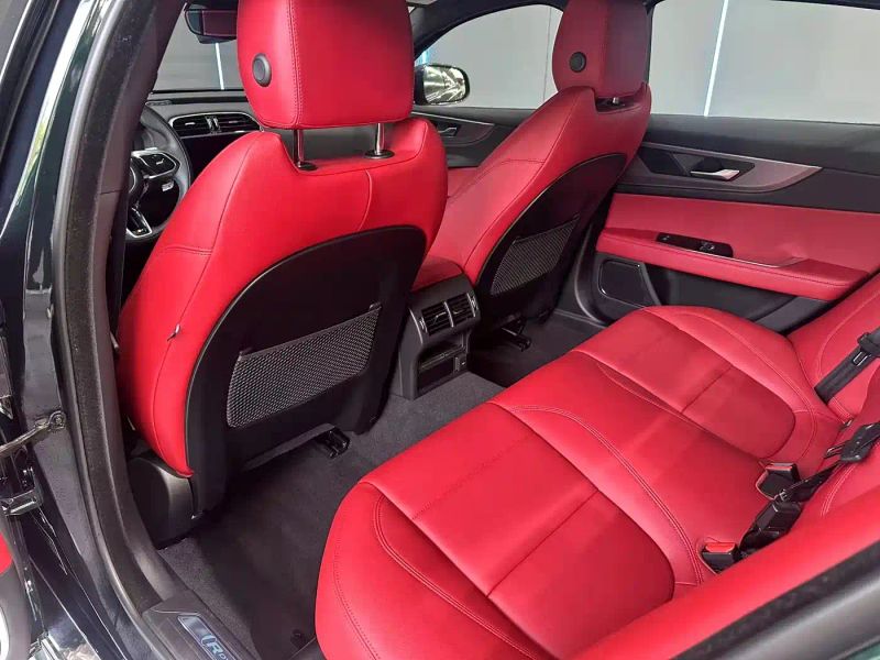 Jaguar xel