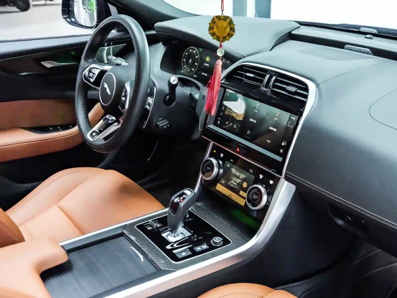 Jaguar xel