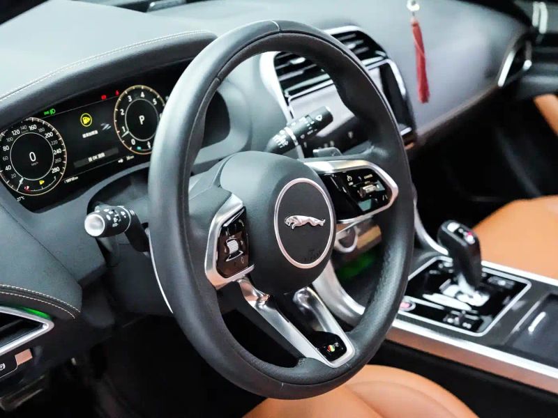Jaguar xel