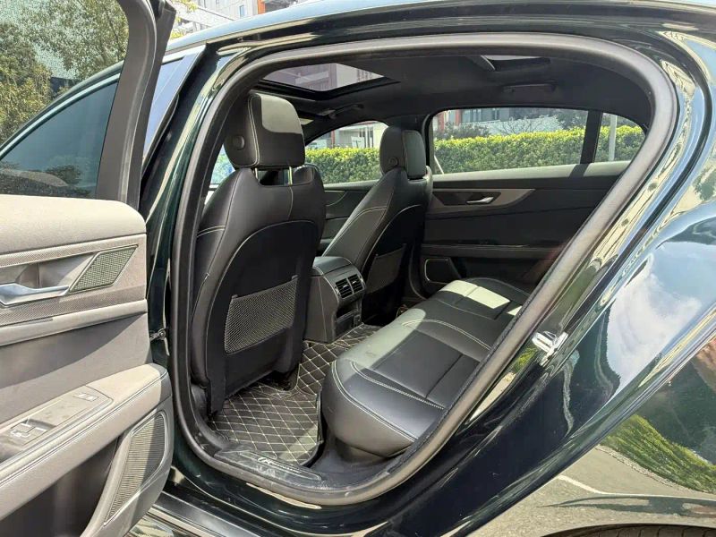 Jaguar xel