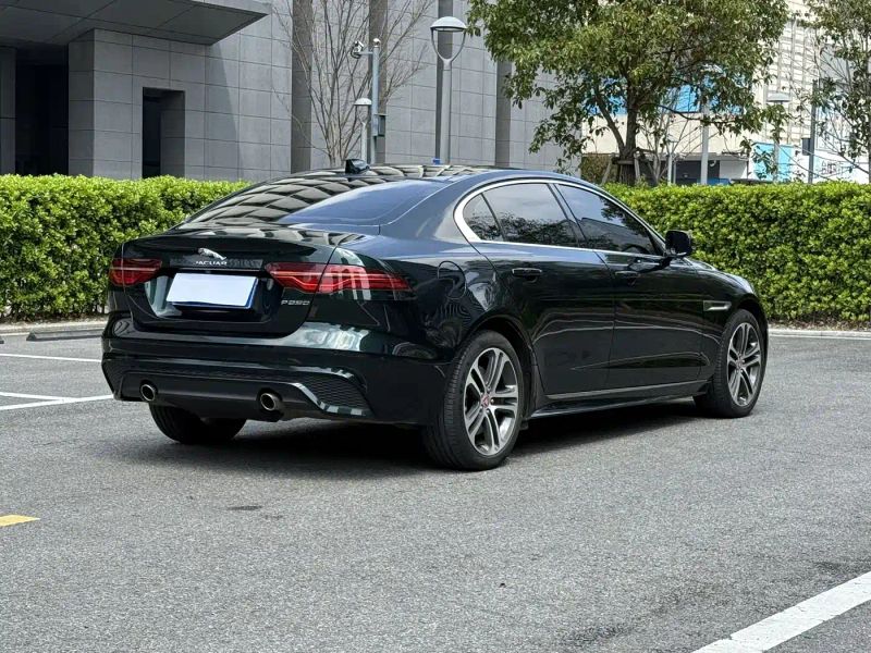 Jaguar xel