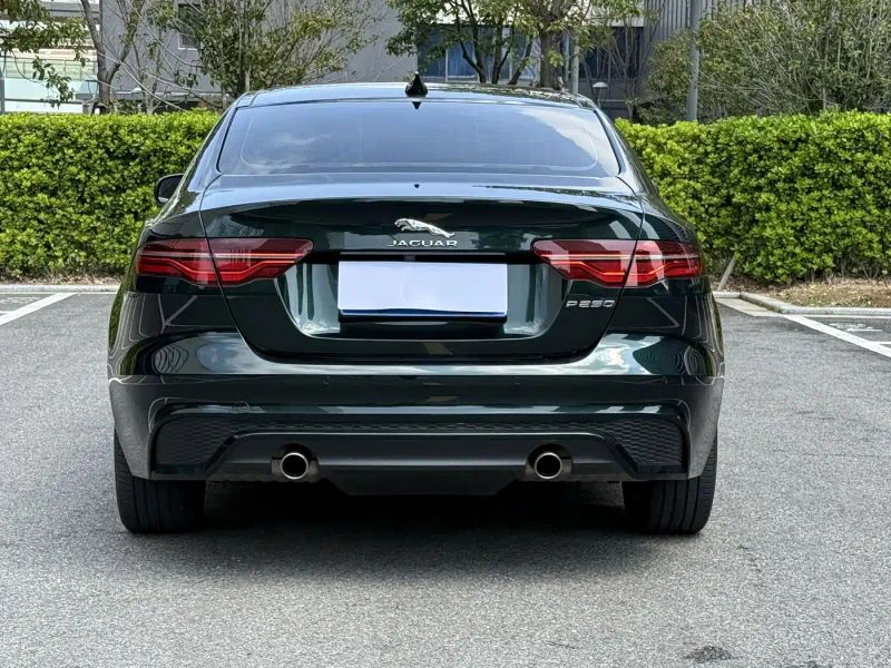 Jaguar xel