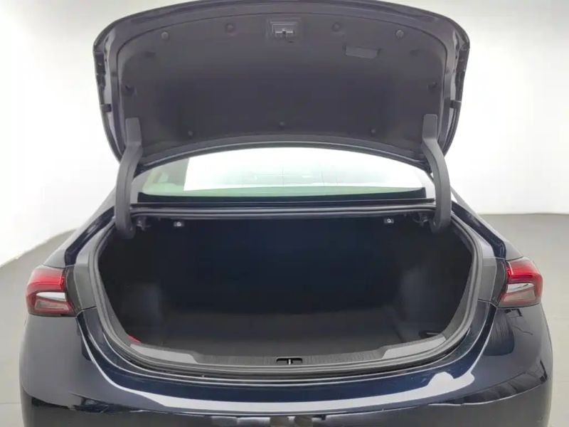 ancove buick_regal
