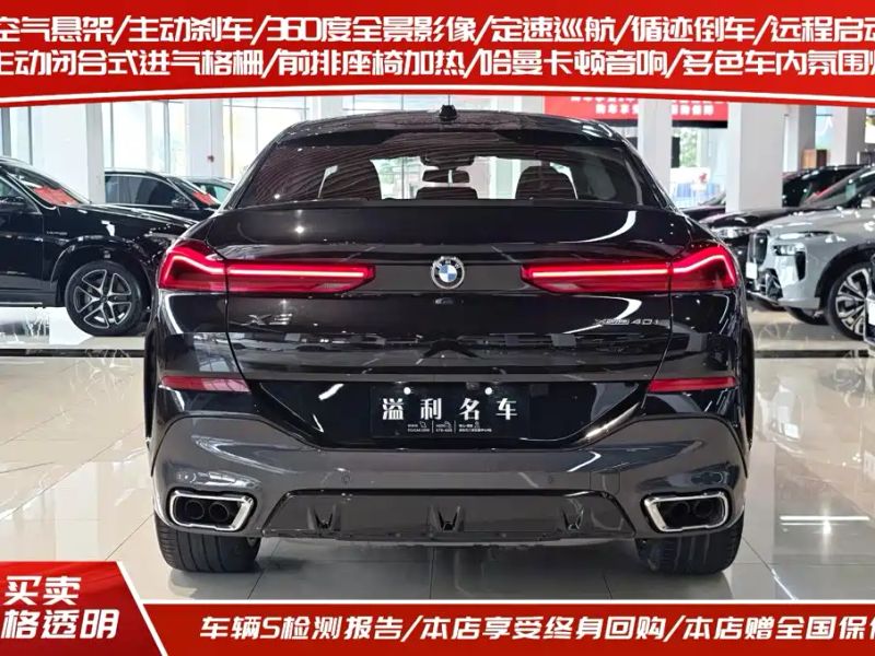 BMW X6