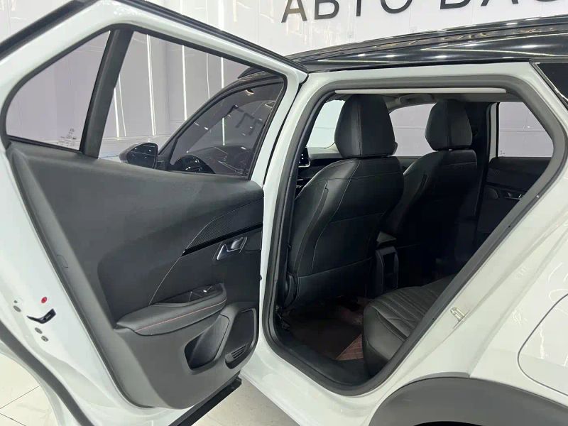 Peugeot peugeot-2008