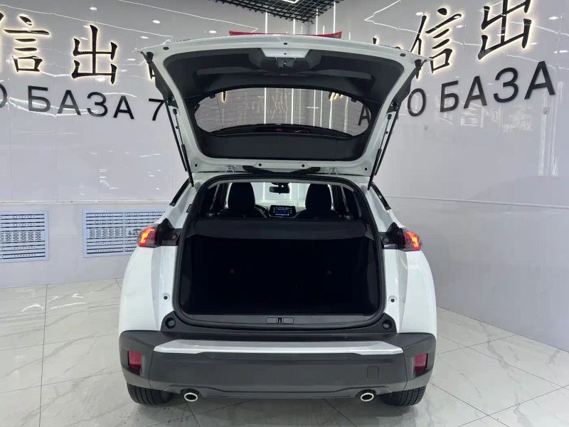 Peugeot peugeot-2008