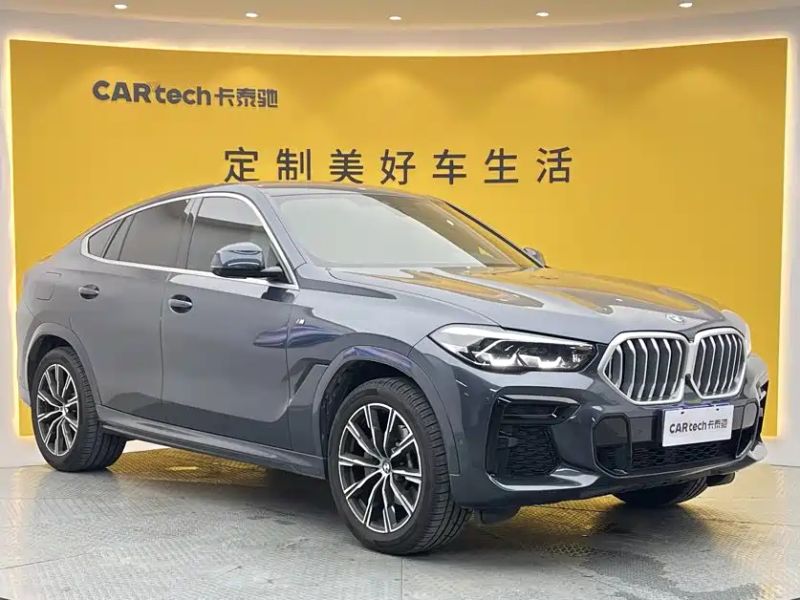 BMW X6