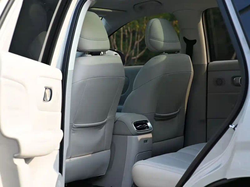 lingpao b10