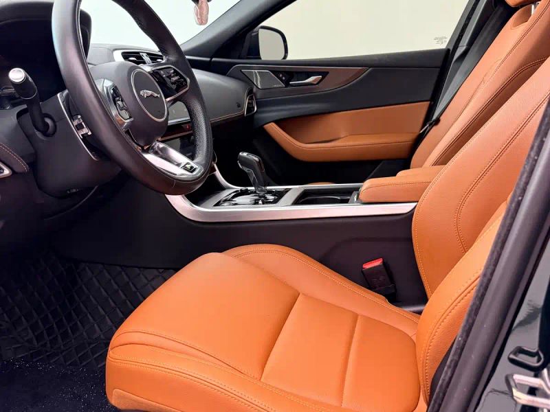 Jaguar xel