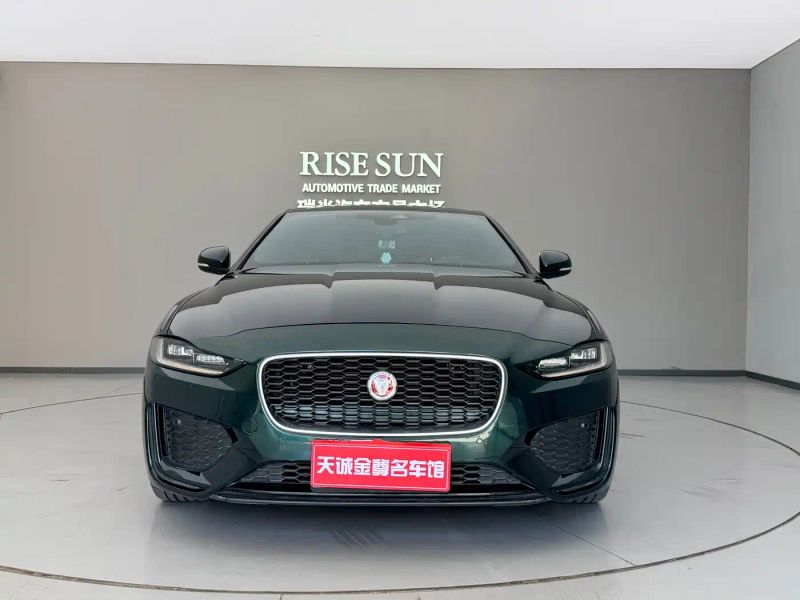 Jaguar xel