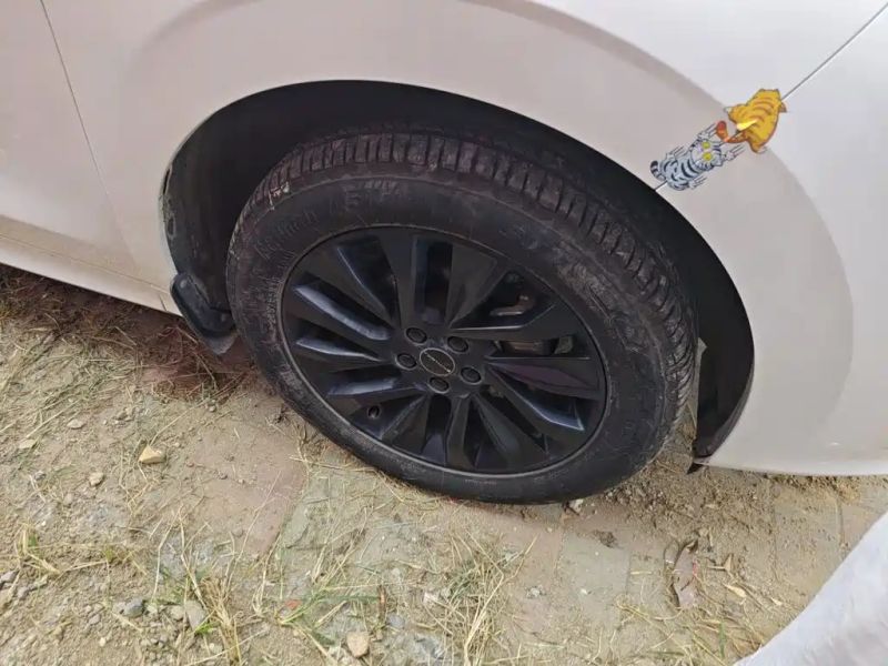 xinghai t5evo