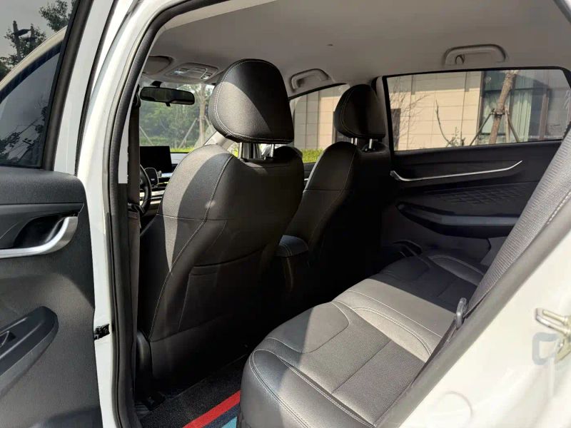 Geely gongfunium
