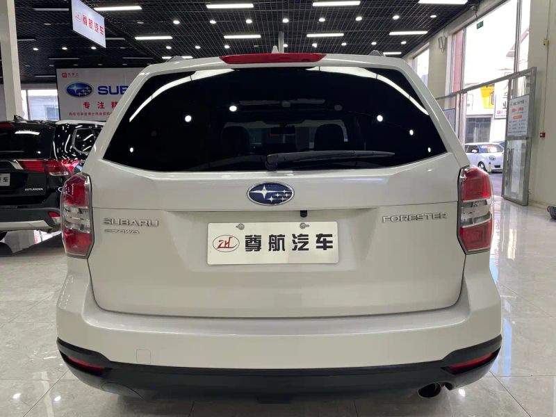 forester forester