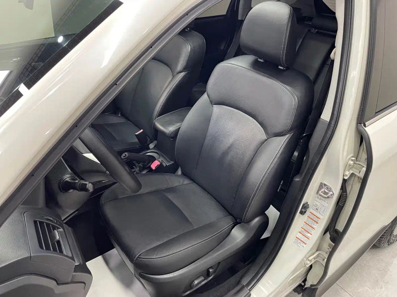 forester forester