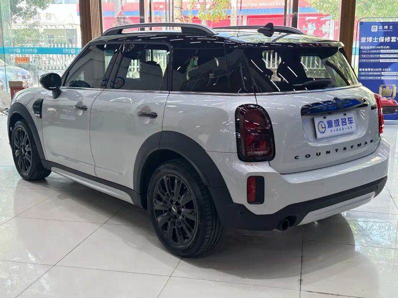 Mini countryman