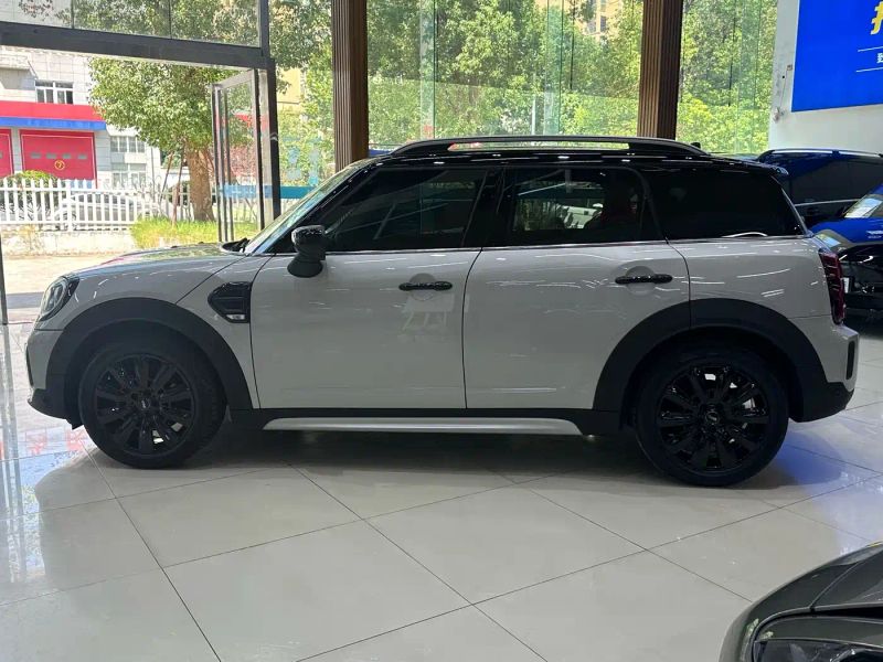 Mini countryman