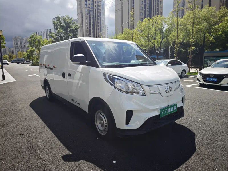 dana ev30