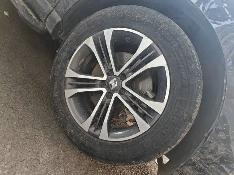 Borgward bx7