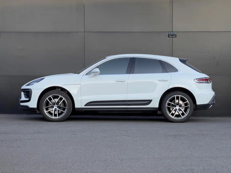 macan macan