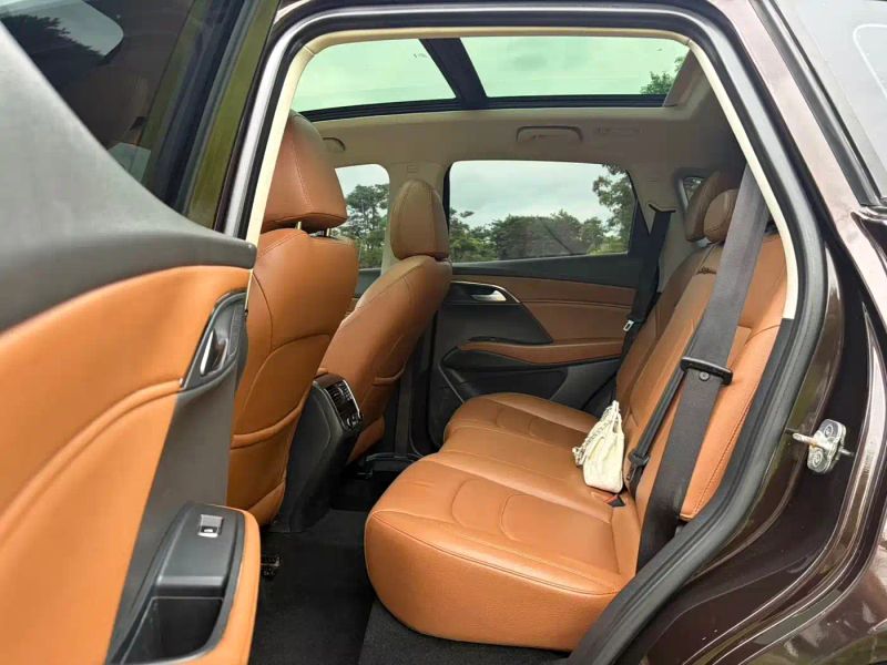 Borgward bx7