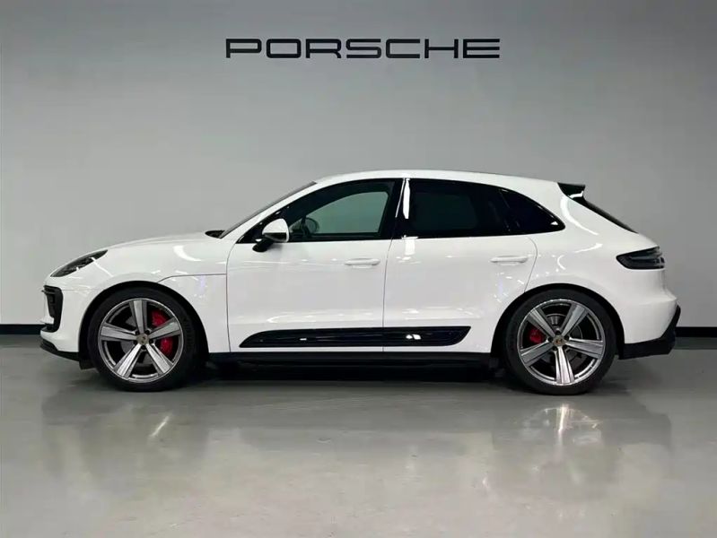 macan macan