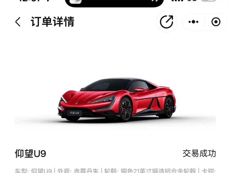 Yangwang u9