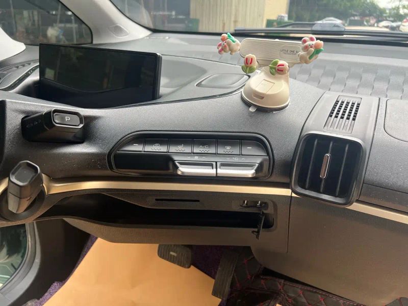 Baojun kiwi