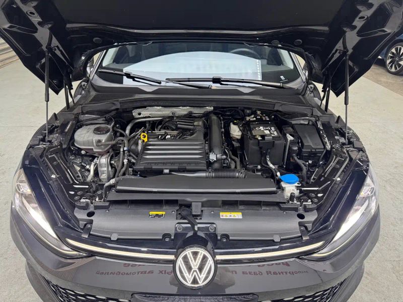 faw-volkswagen lingdu