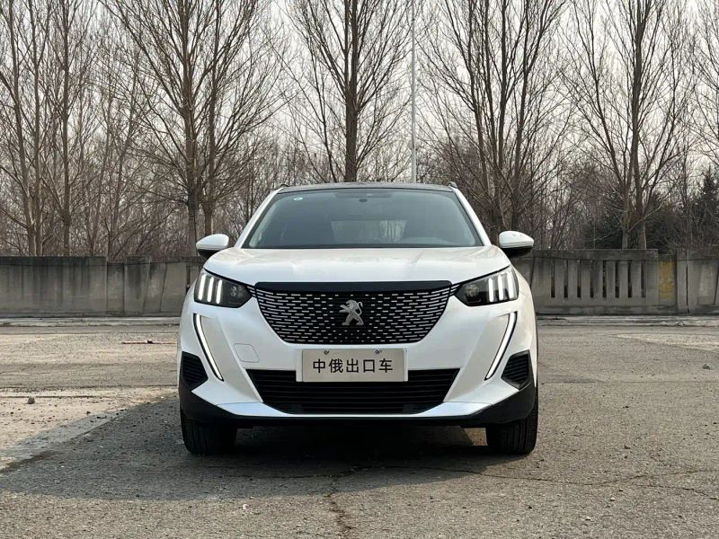 Peugeot peugeot-2008