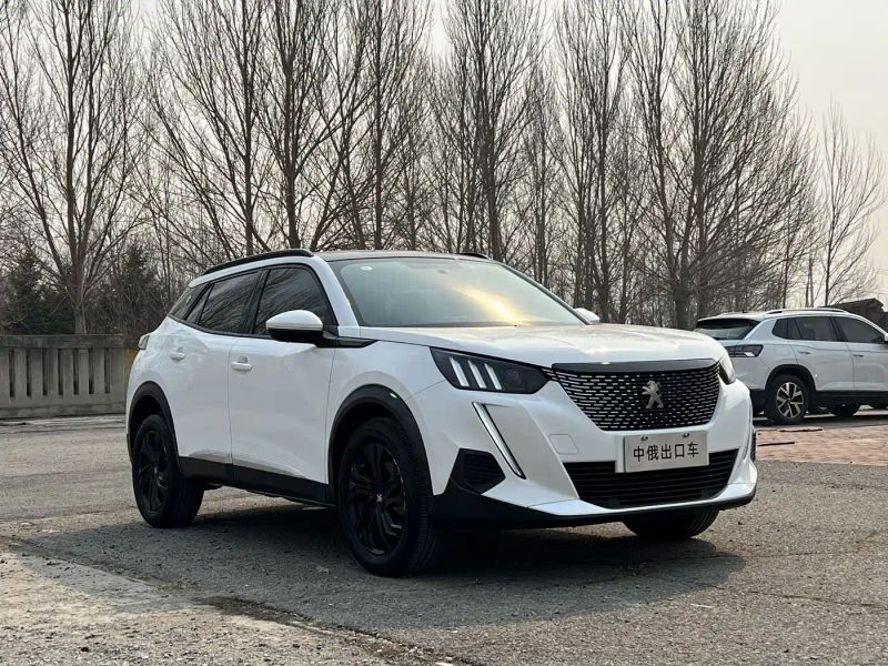 Peugeot peugeot-2008