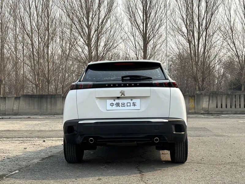 Peugeot peugeot-2008