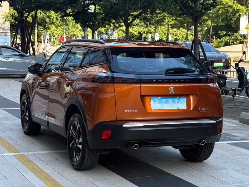 Peugeot peugeot-2008