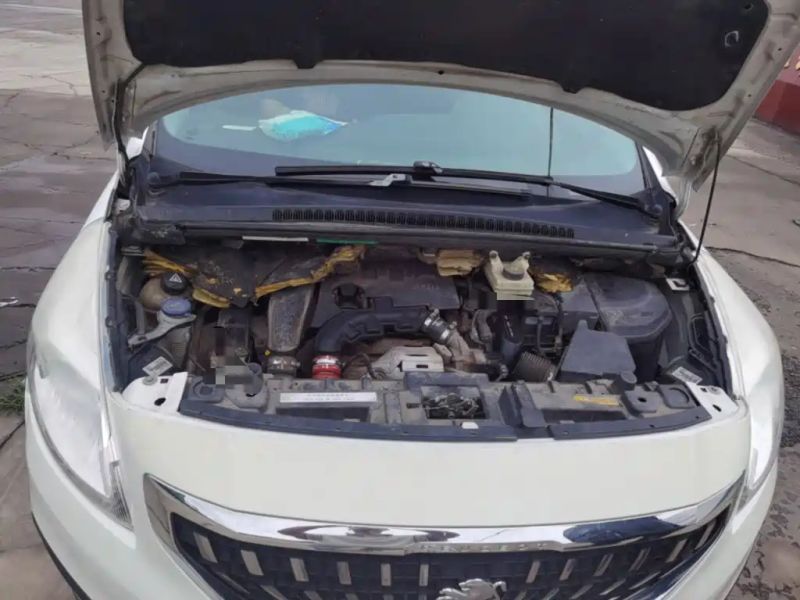 Peugeot peugeot_3008