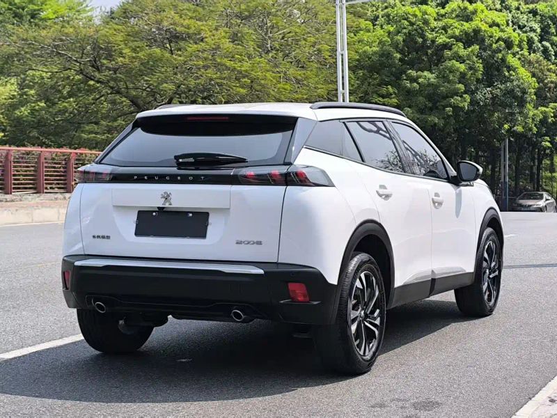 Peugeot peugeot-2008