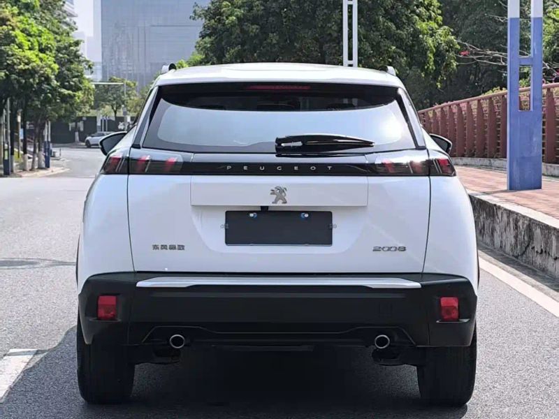 Peugeot peugeot-2008