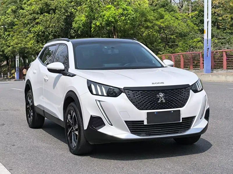 Peugeot peugeot-2008
