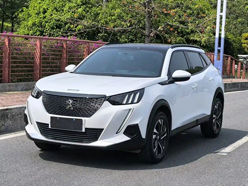 Peugeot peugeot-2008