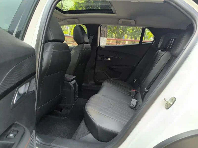 Peugeot peugeot-2008