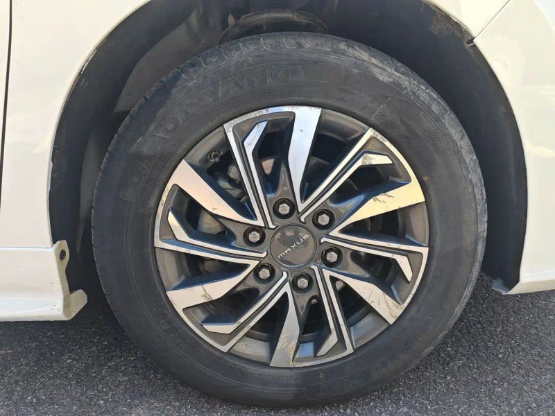 dana g20