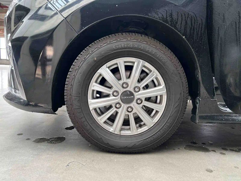 dana g20
