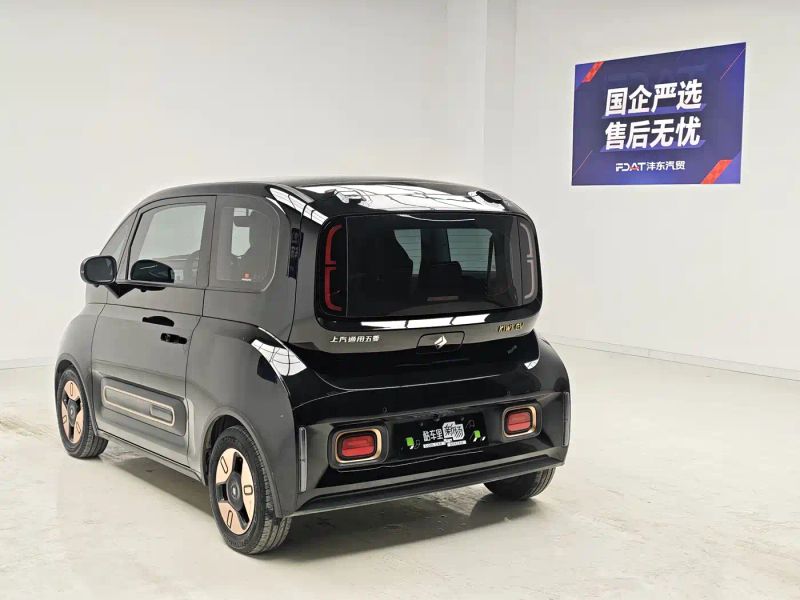 Baojun kiwi
